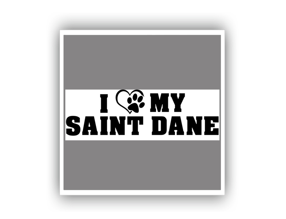 I Love My Saint Dane